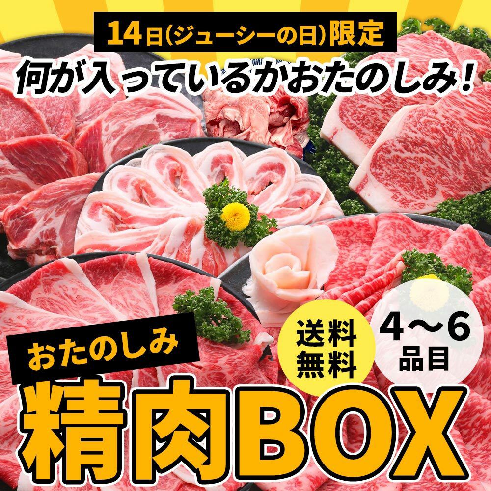 ジューシーの日限定　送料無料　おたのしみ精肉BOX【精肉のみ　総重量１．２ｋｇ以上　３～４人前　詰め合わせ　送料無料】