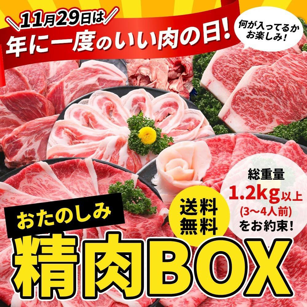 ジューシーの日限定　送料無料　おたのしみ精肉BOX【精肉のみ　総重量１．２ｋｇ以上　３～４人前　詰め合わせ　送料無料】