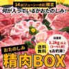 ジューシーの日限定　送料無料　おたのしみ精肉BOX【精肉のみ　総重量１．２ｋｇ以上　３～４人前　詰め合わせ　送料無料】