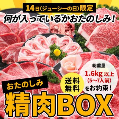 ジューシーの日限定　送料無料　おたのしみ精肉BOX（大）【精肉のみ　総重量１．６ｋｇ以上　５～７人前　詰め合わせ　送料無料】